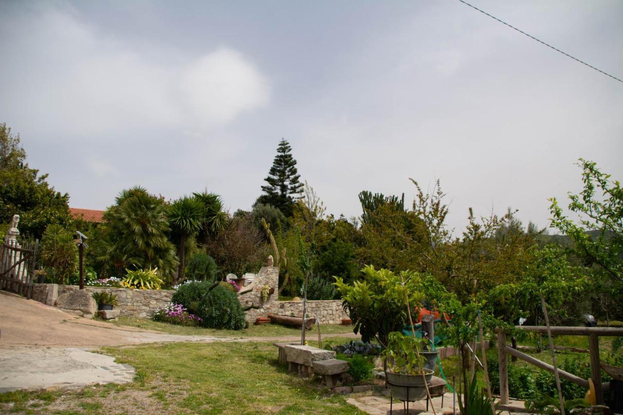 B&B Il Giardino Arbus Ngoại thất bức ảnh
